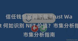 信任钱包官网下载 Trust Wallet 何如识别 NFT 价值？市集分析指南